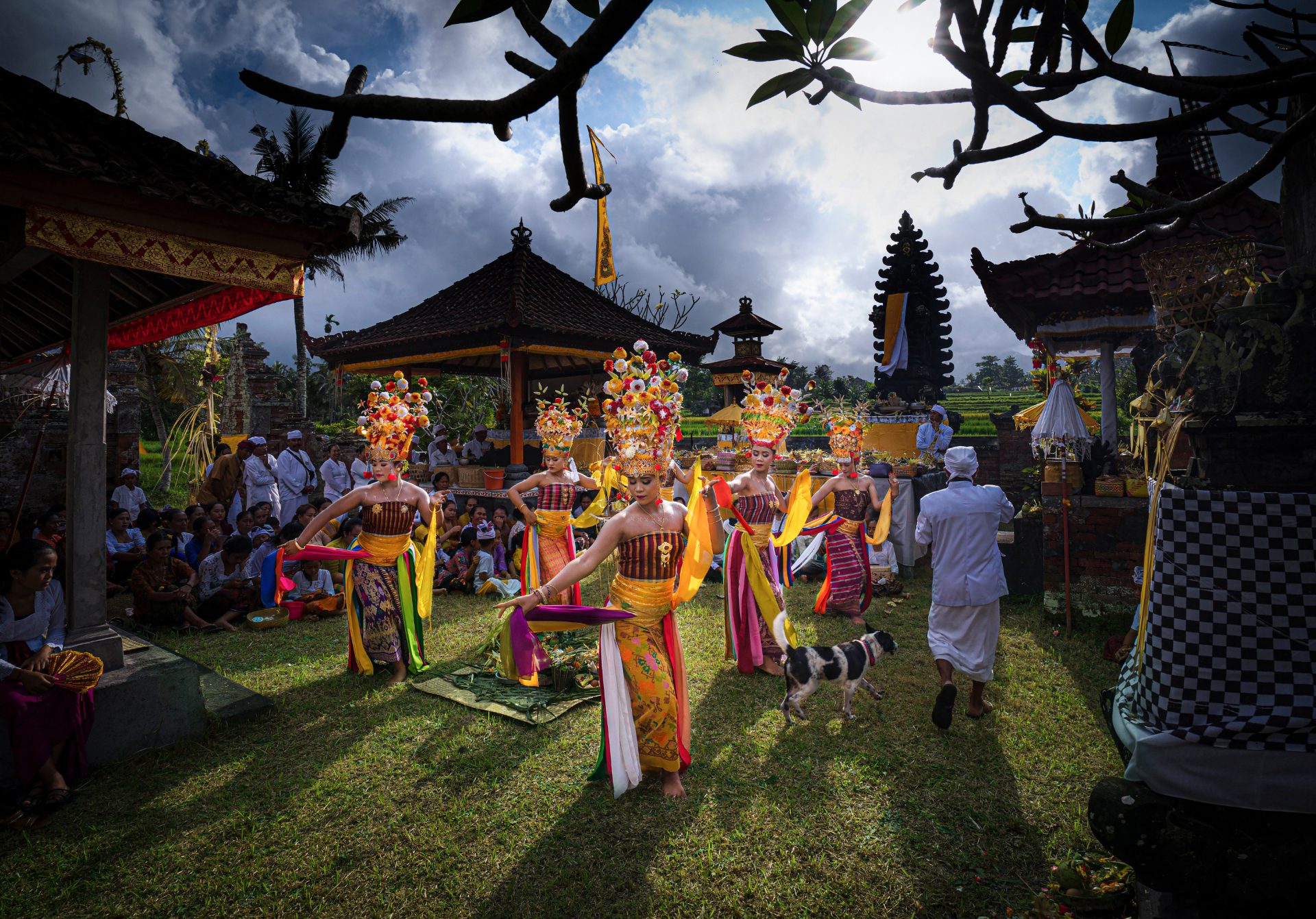 Balinese ceremonial dancers